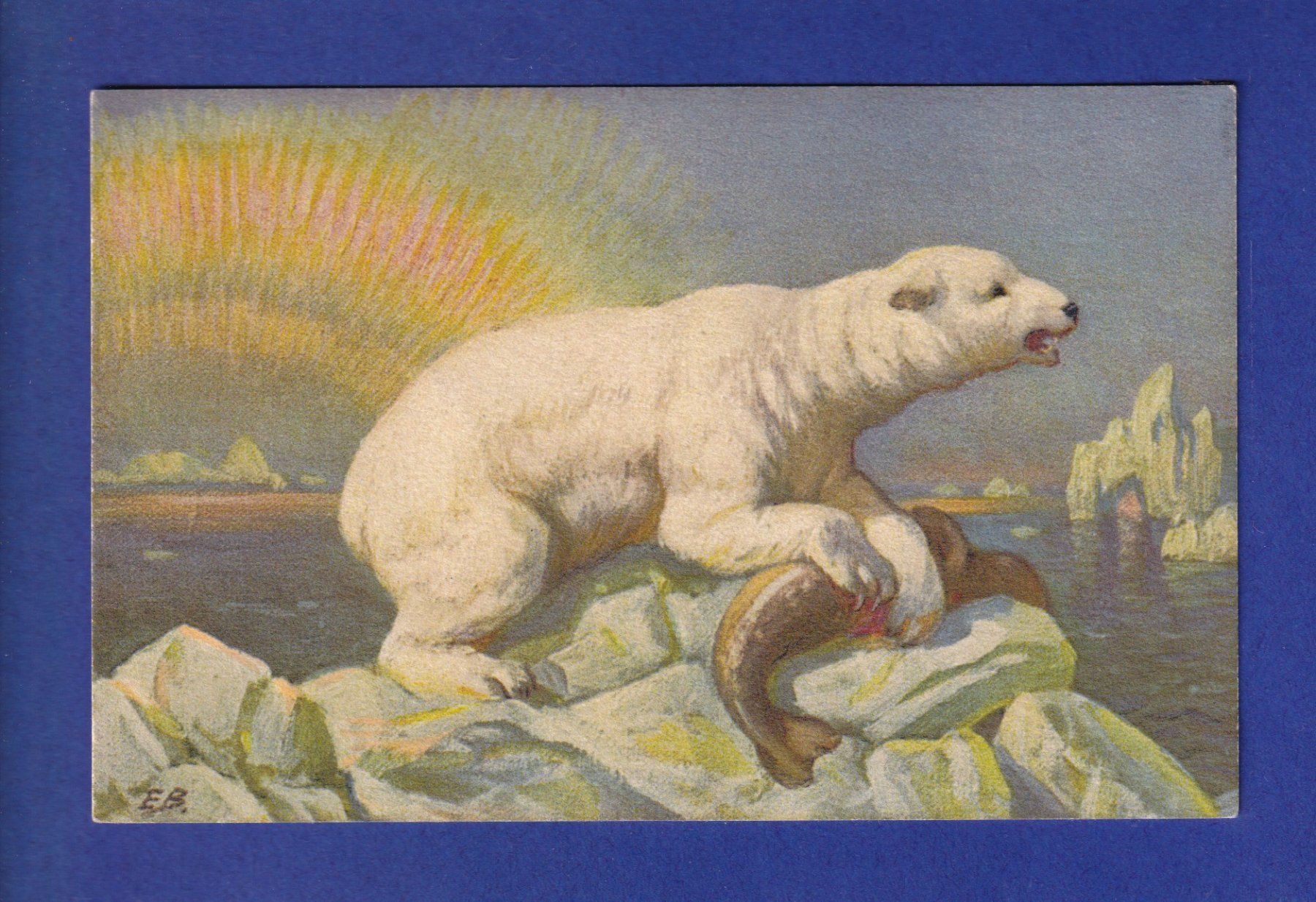 Cartoline postali: OURS POLAIRE // voir dos // – Usato da Pully venduto da nicecards-shop