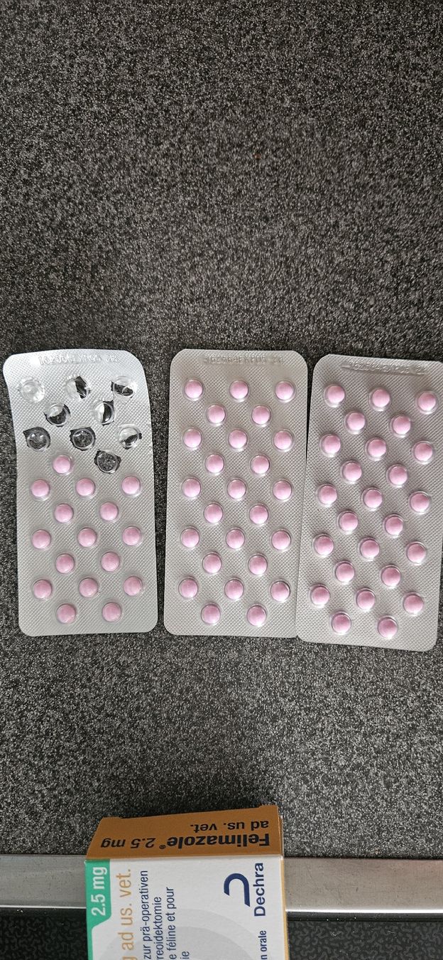 Futter: Felimazole 2.5 mg, Katzen Schilddrüsenüberfunktion – Neu (gemäss Beschreibung) aus Rorbas von ScorpionBay 1