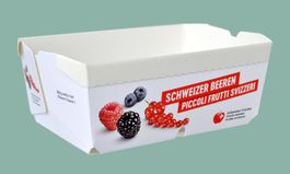 Fruchtschalen 250 gr