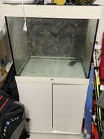 Aquarium zu verkaufen