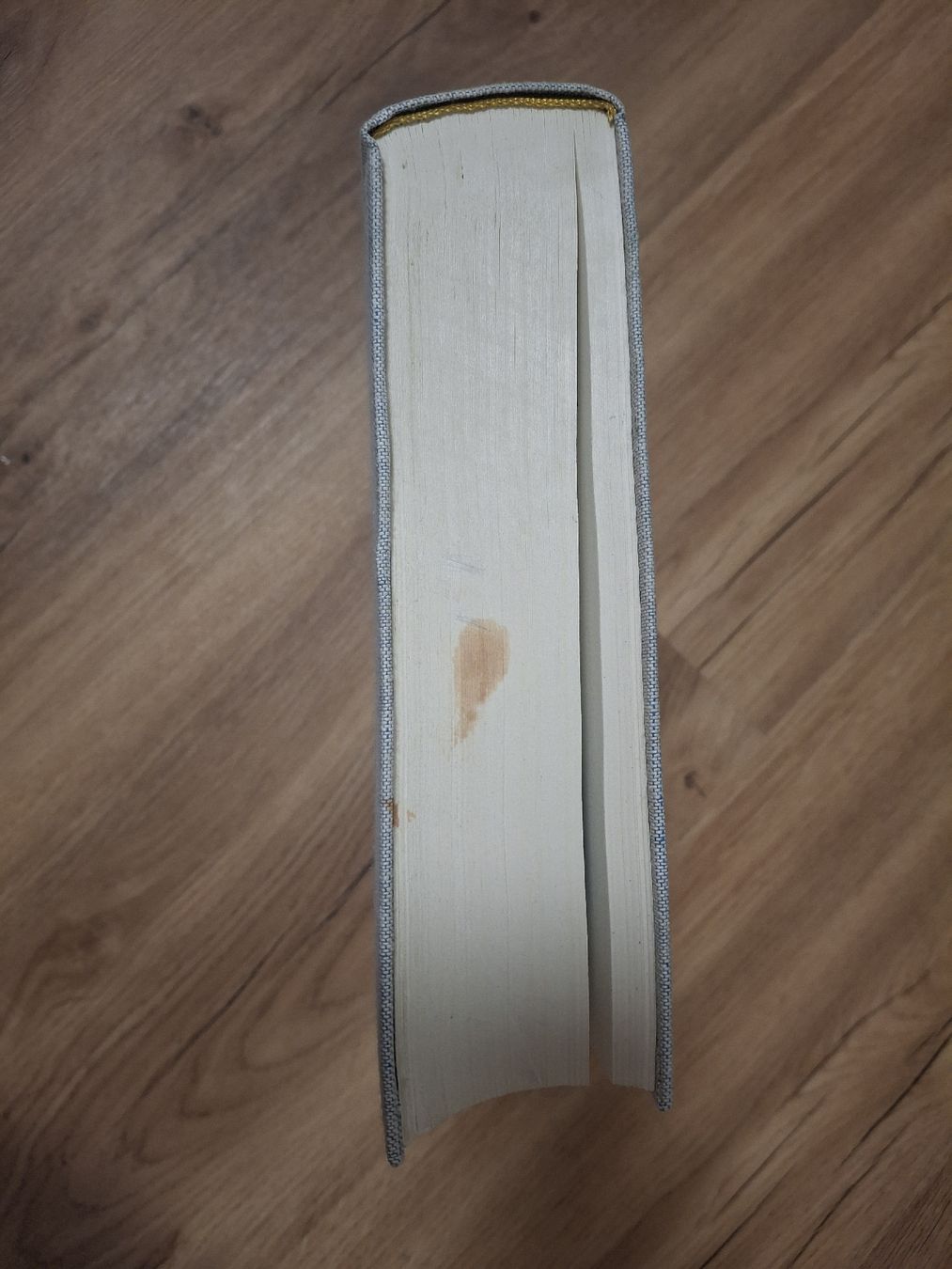 Bücher: Buch Wilhelm Busch Illustrationen – Gebraucht aus Bäriswil BE von vonys 2