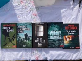 Lot de 8 thrillers Angelina Delcroix  Livres de poche