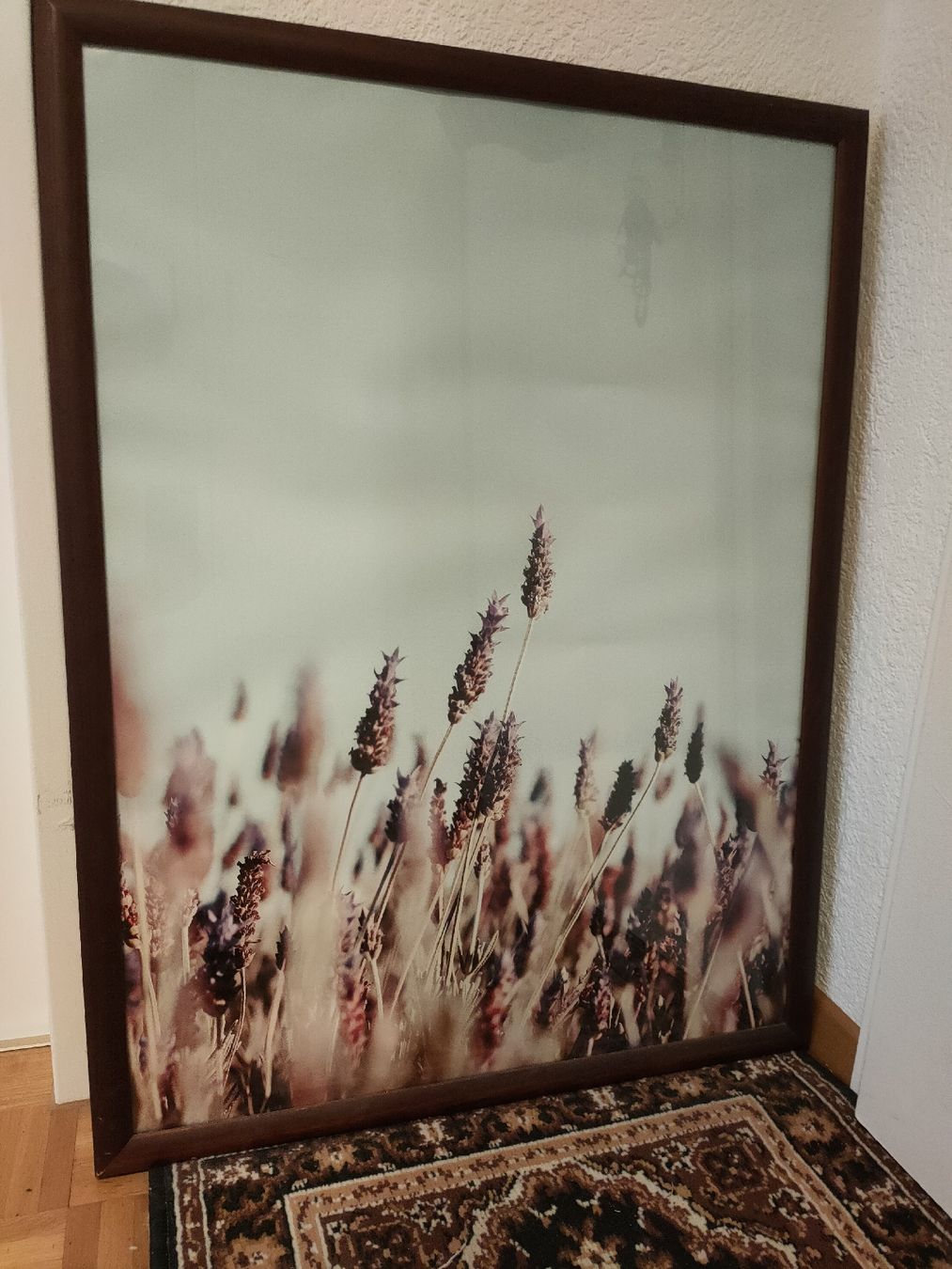 Foto & Immagini: Bild und Bilderrahmen ca. 50 x 80 – Usato da Wetzikon ZH venduto da Elos34