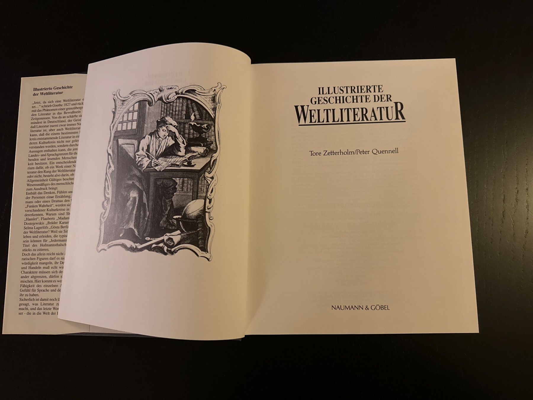 Bücher: Illustrierte Geschichte der Weltliteratur – Gebraucht aus Erstfeld von Mario_boe0 1