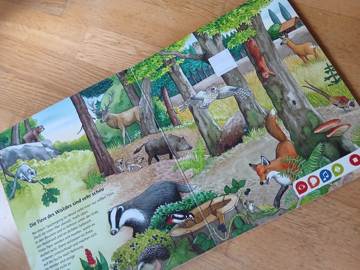 Libri: Tip Toi Buch Bilderlexikon Tiere – Usato da Dübendorf venduto da Fip05 1