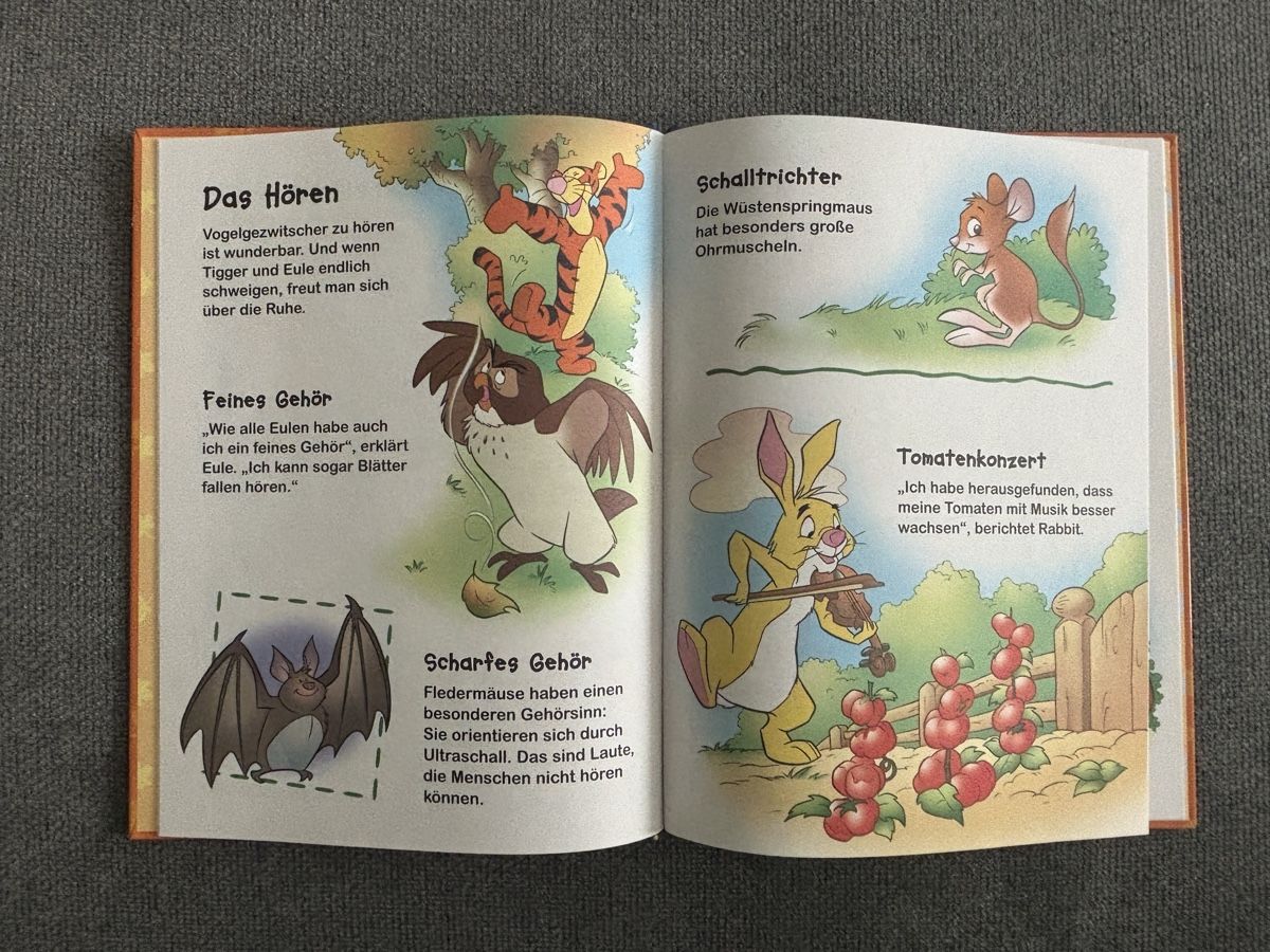 Libri: Winnie Puuh: Entdecke Farben, Gegensätze, Sinne, Kochen – Usato da Urdorf venduto da leoale 8