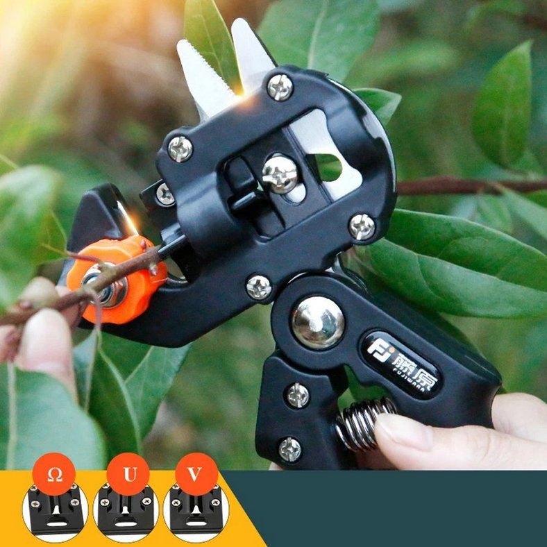Tutti gli attrezzi: Gartenschere Set Profi Astschere mit Zubehör scharf – Nuovo e nell'imballaggio originale da Genève venduto da Anna-38 5