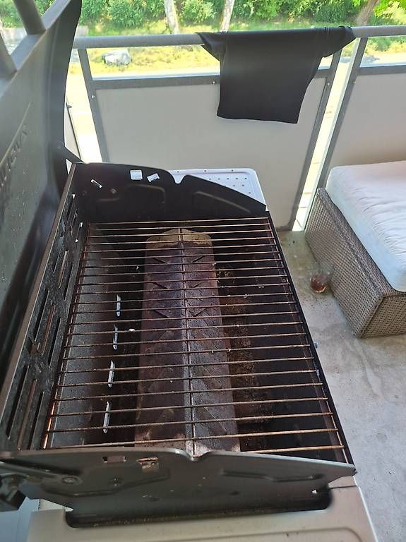 Campingaz Grills: Gratis Grill von Campinggaz – Gebraucht aus Bonstetten von cli_8jdw 2