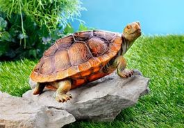Schildkröte (20 cm)