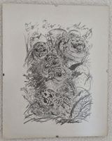 H.Zbinden Bild, Zeichnung (Reproduktion)"Jungvögel"