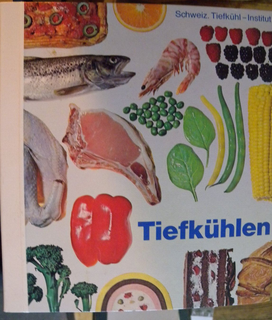 Bücher: Tiefkuehlen Kochbuch Schweiz. – Gebraucht aus Hauenstein von davia72