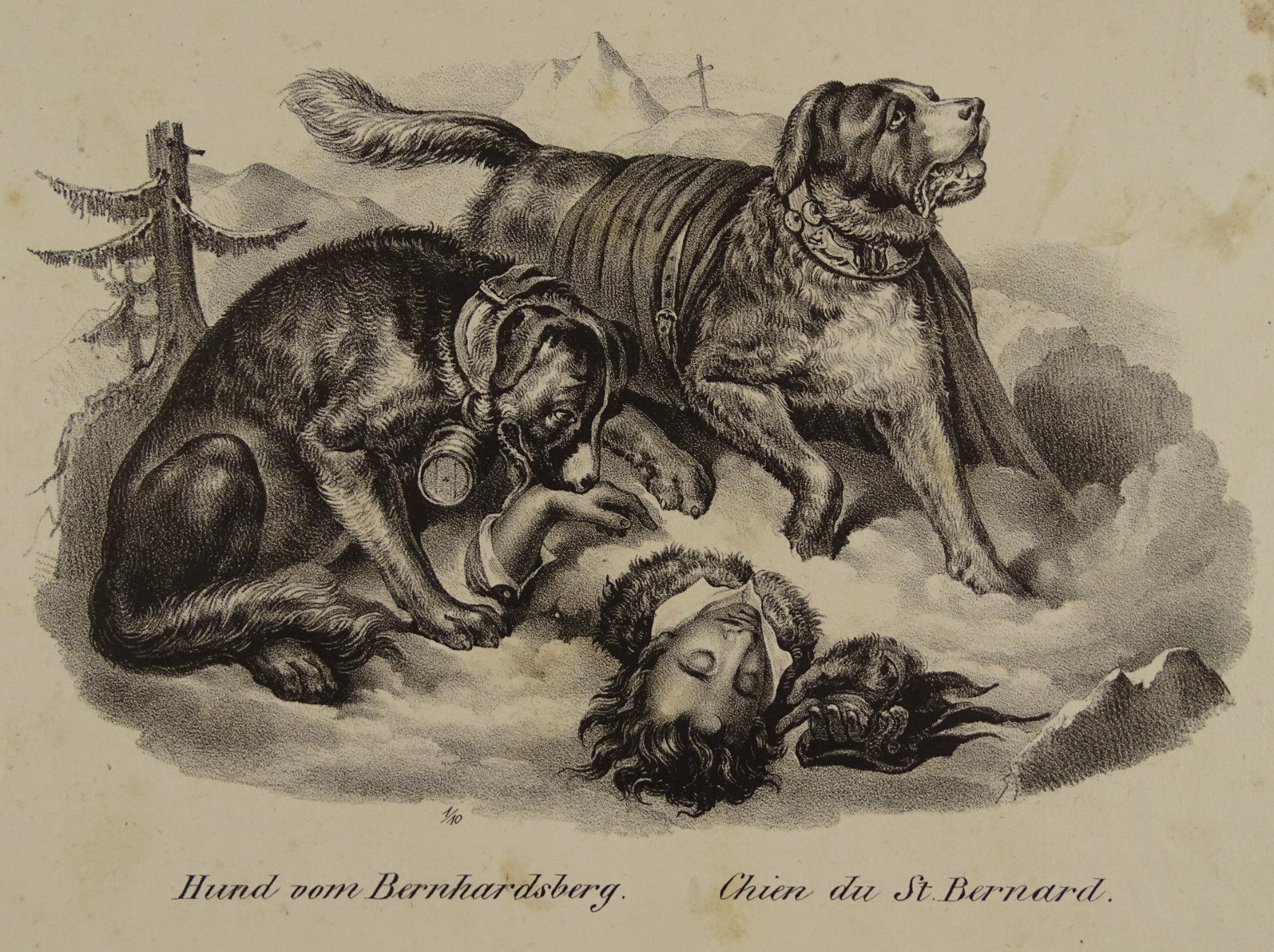 Stiche: BERNHARDINER, LITHOGRAPHIE 1840 – Gebraucht aus Grüningen von Kartensammler