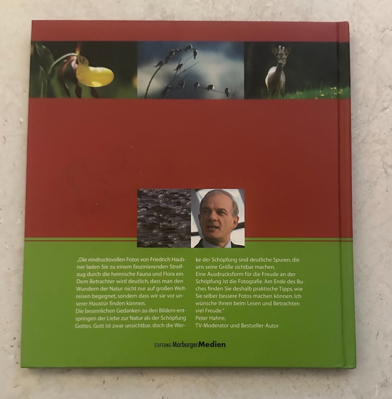 Bücher: Jugendbuch – Gebraucht aus Zürich von Mumpfi9 1