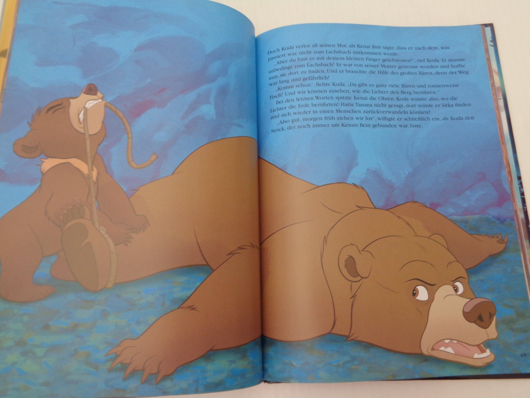 Libri: Disney - Bären Brüder – Usato da Chur venduto da Oregano1 7
