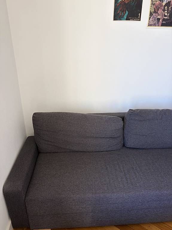 Divani: Canapé convertible 3 place  – Usato da Neuchâtel venduto da gwe_w9df 1