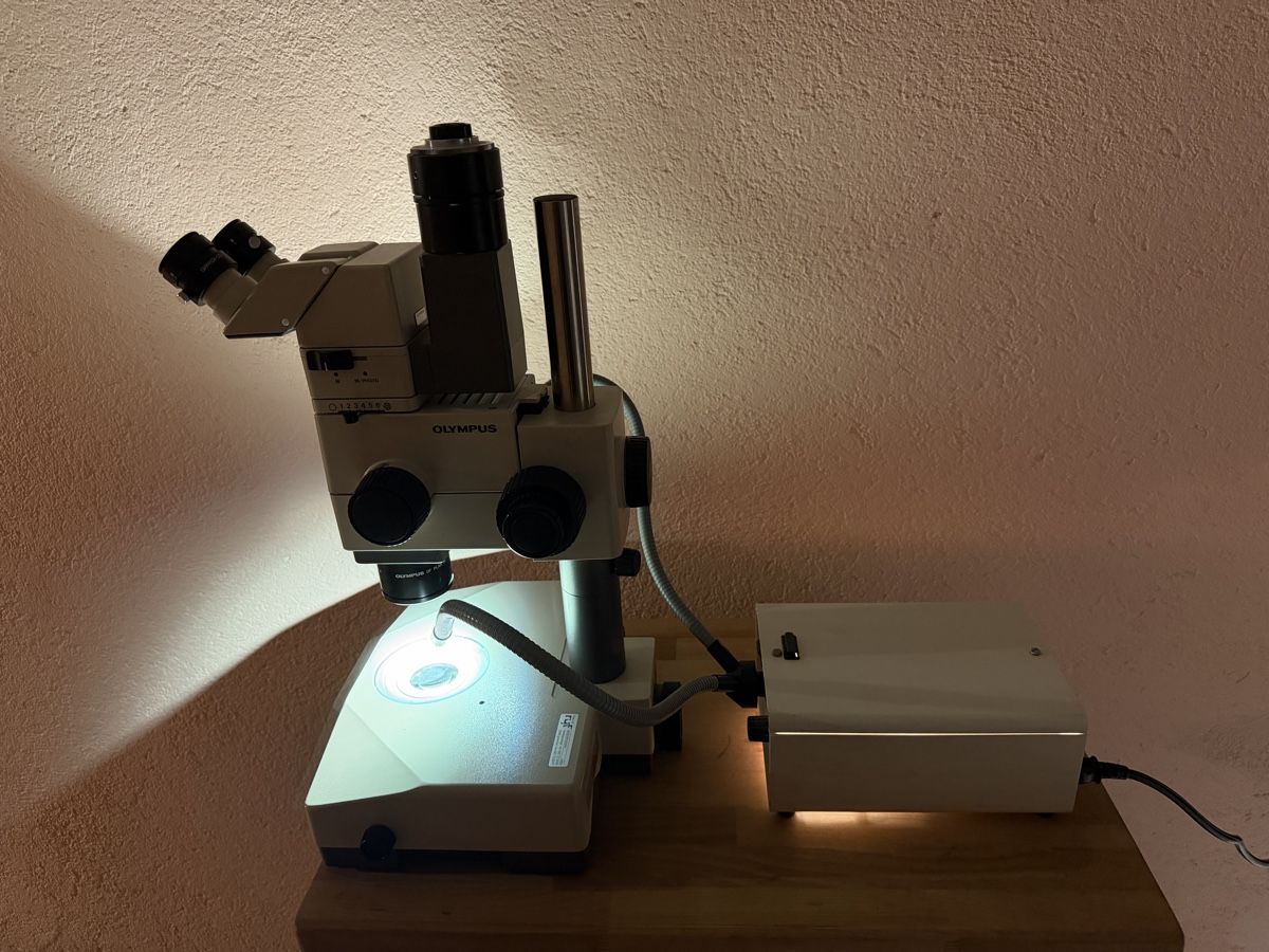 Olympus Mikroskopie: Microscope Olympus SZH 10 – Gebraucht aus Bassecourt von 59.00chf 8