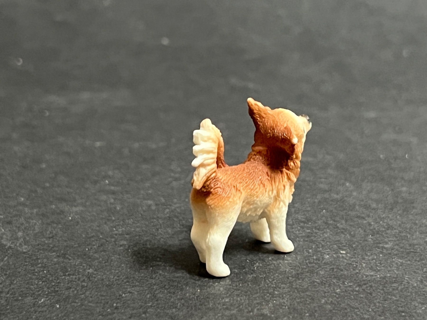 Schleich Statuette: Schleich Chihuahua Hund – Usato da Ennetbaden venduto da mapa05 5