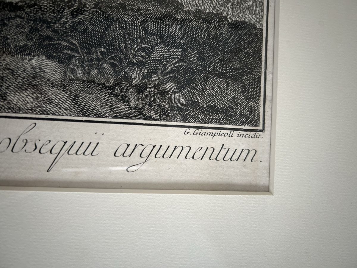 Foto & Immagini: Sehr Schönes Bild, gerahmt, Blattsilber Rahmen. – Usato da Lanzenhäusern venduto da vic63 5