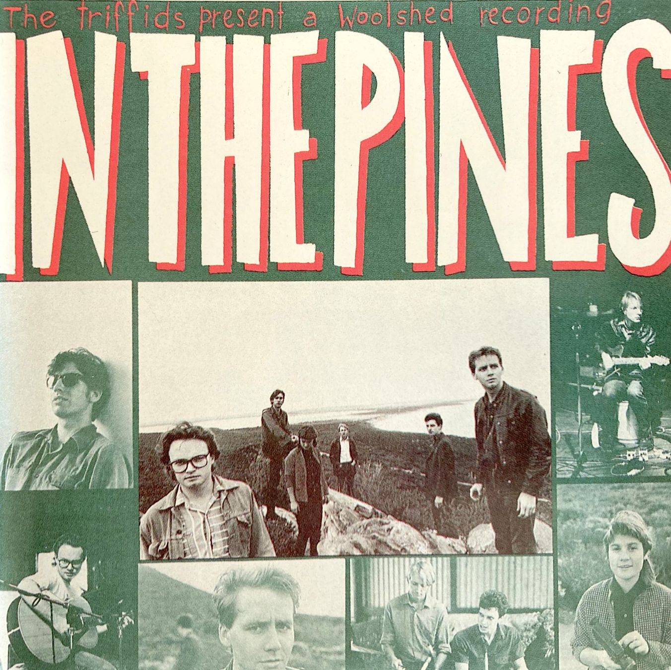 CDs: THE TRIFFIDS - IN THE PINES – Gebraucht aus Bottens von hotter-than-hell