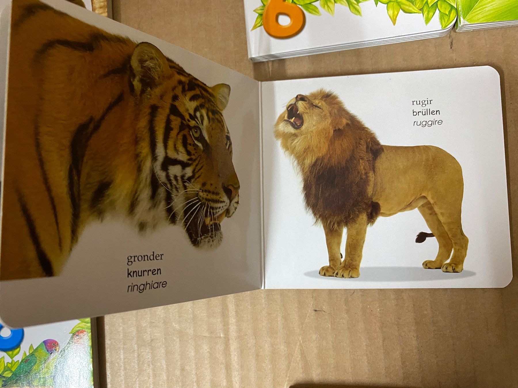 Bücher: Zoo Bücher (vergleiche) – Gebraucht aus Eschlikon TG von ArtRec 7