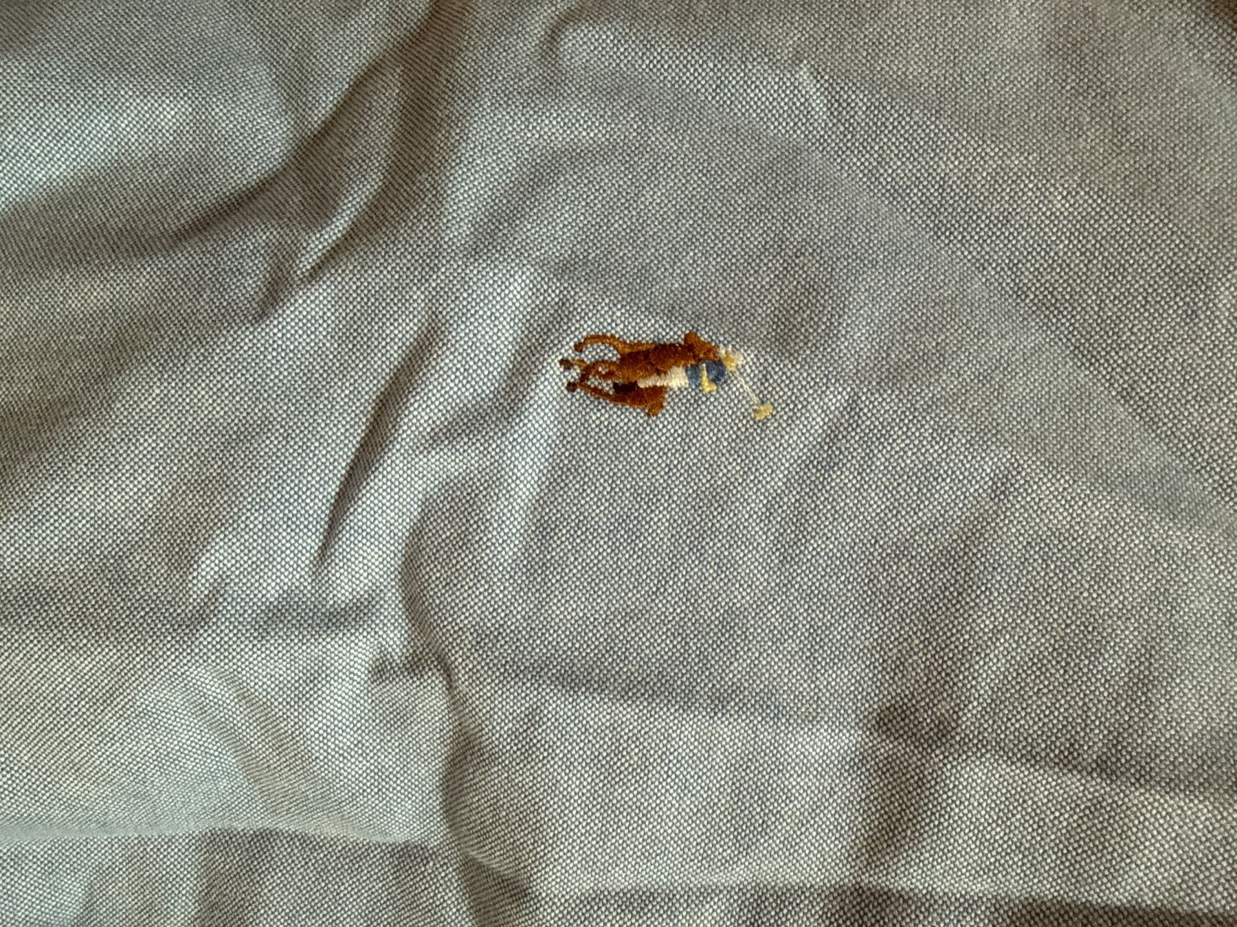 Ralph Lauren Blusen: Ralph Lauren Hemd hellblau – Gebraucht aus Muotathal von sin_pdj6 2