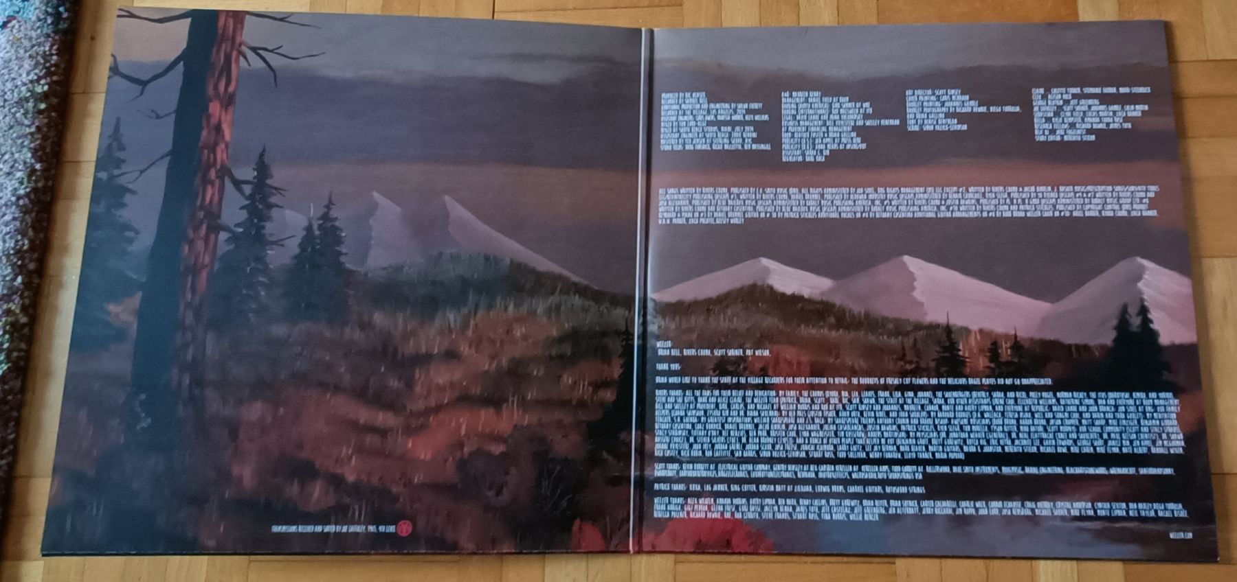 Dischi in vinile: WEEZER - Everything will be alright in the End LP – Usato da Luzern venduto da cryptonic79 2