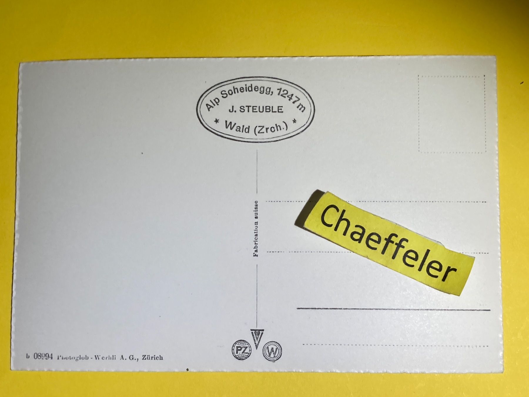 Cartoline postali: Gast- u. Kurhaus Alp Scheidegg – Usato da Zürich venduto da Chaeffeler 1