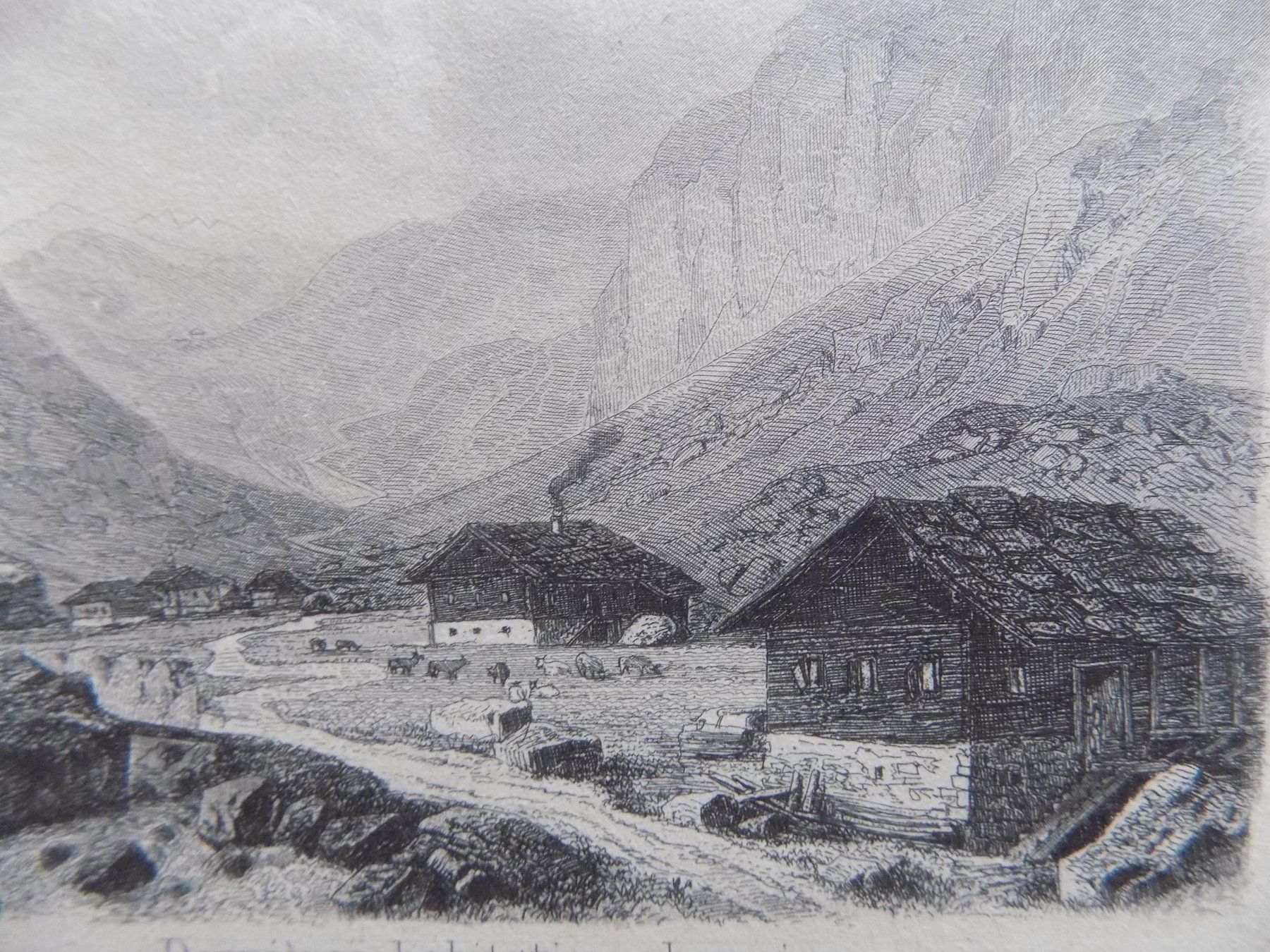 Incisioni: Types des maisons – Usato da Risch venduto da Rischli15 7