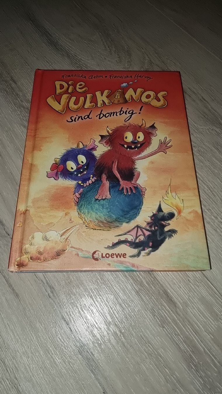 Libri: Kinderbuch "Die Vulkanaus sind bombig!" Löwe – Usato da Wigoltingen venduto da Zuckerfee84