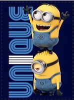 Plüschdecke MINIONS