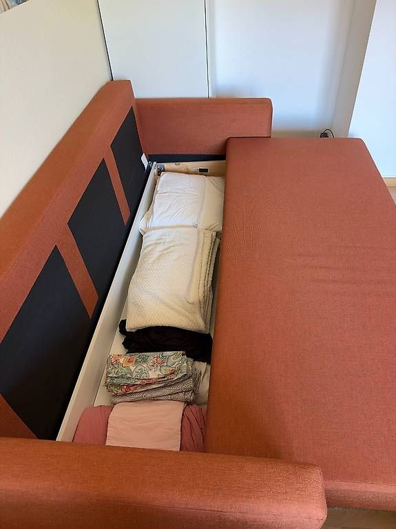 Divani: Schlafsofa mit Stauraum – Usato da Basel venduto da ama_fs8w 3