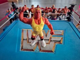WWF Hasbro Mr Perfect Serie 3 Vintage Figure Wrestling