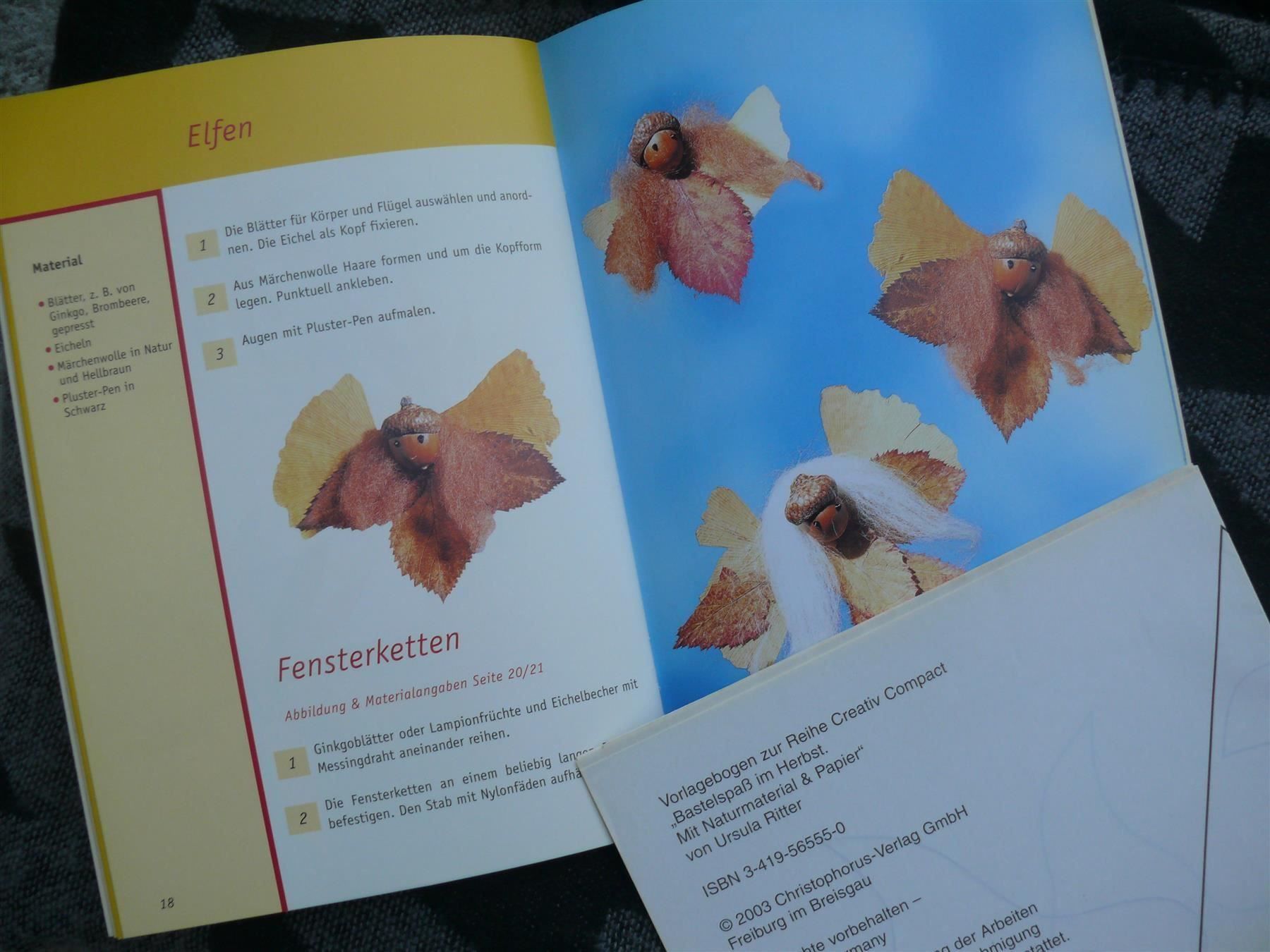 Bücher: * Bastelspaß im Herbst aus Tonkarton & Naturmaterial – Gebraucht aus Muttenz von Negnuja 1