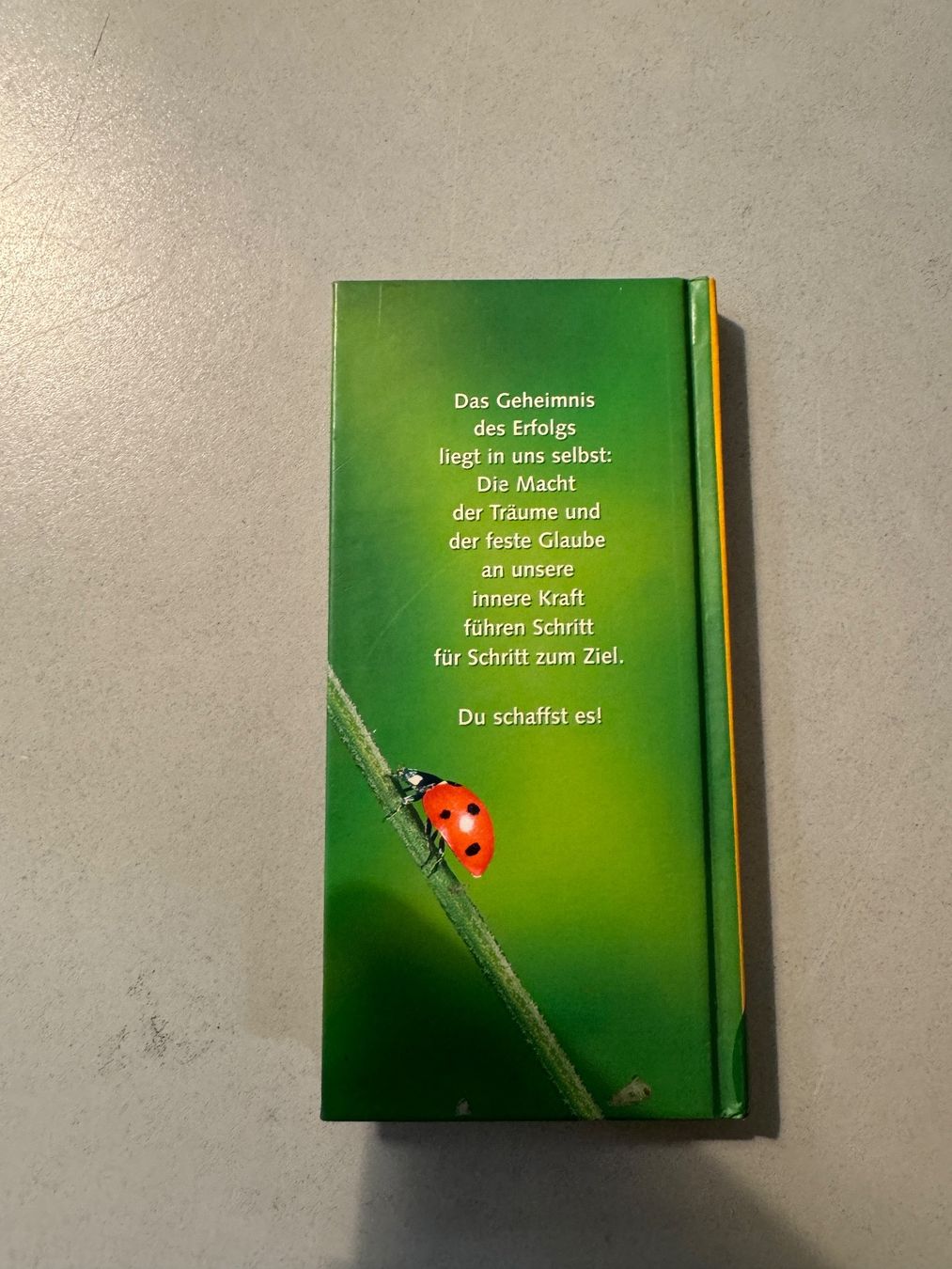 Libri: Du schaffst es! Mutmachbuch Jutta Oster Pattloch Verlag – Usato da Erstfeld venduto da Mario_boe0 2
