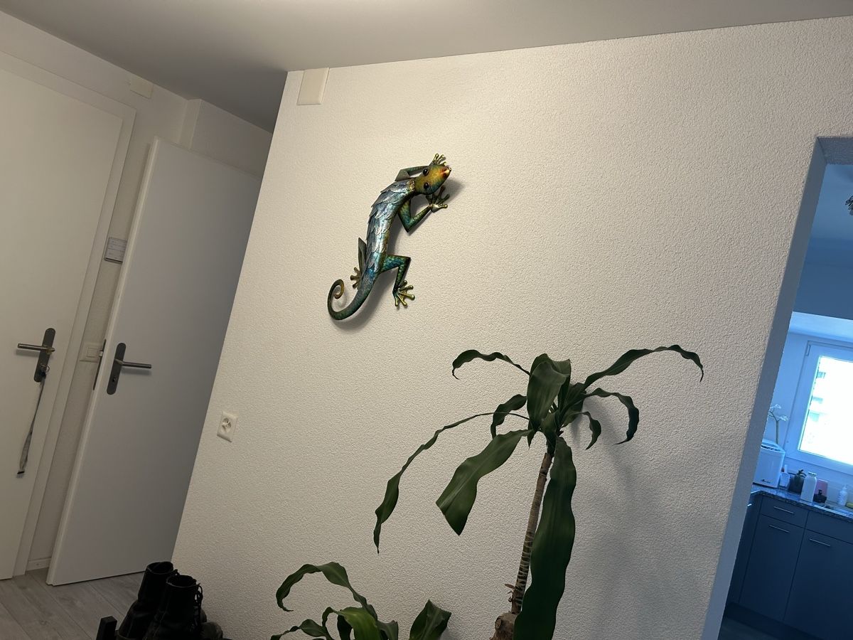 Alle Dekorationen: Wanddeko Gecko Metall – Neu (gemäss Beschreibung) aus Bremgarten AG von nullpunktnull 1