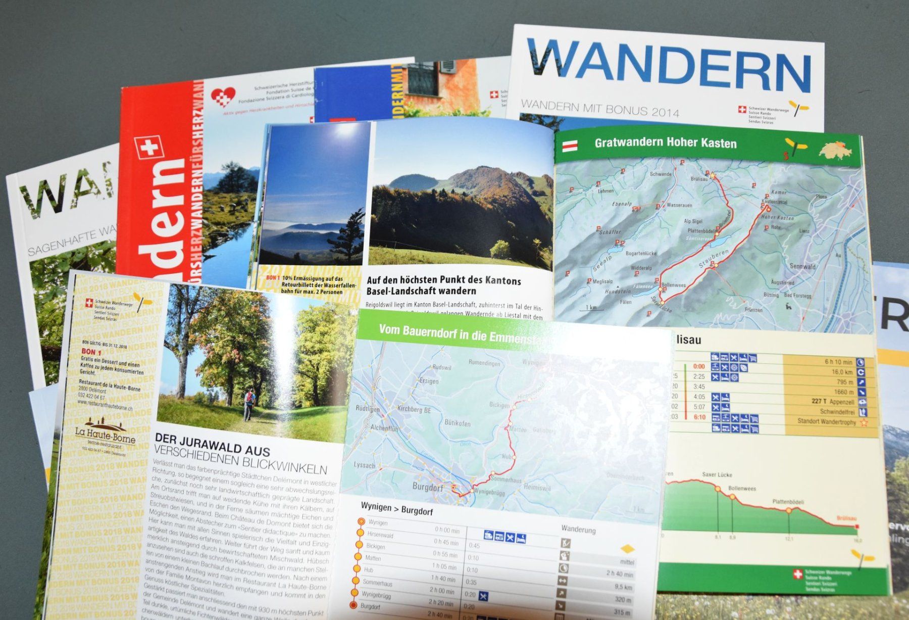 Libri: 11x Wandern in der Schweiz – Usato da Liestal venduto da estreiter 1