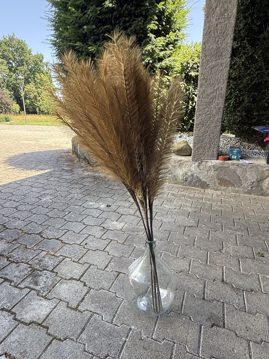 Tutte le decorazioni: Bouteille et Plumeaux décoratifs – Usato da Nyon venduto da tha_5zkc 2