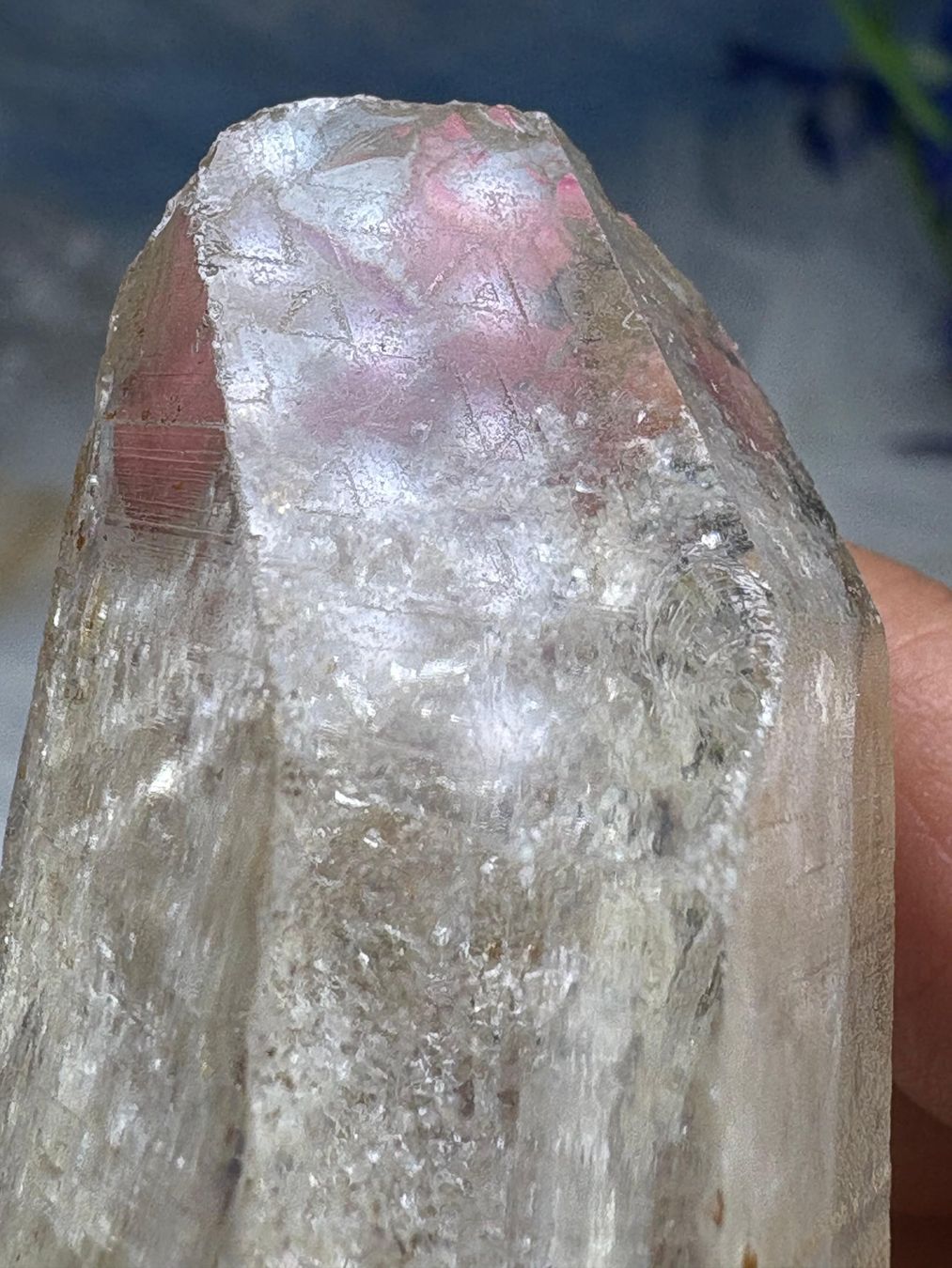 Minerali & Pietre curative: Laotian Clear Quartz mit Record Keeper – Nuovo (secondo la descrizione) da Neuheim venduto da m.hald 5