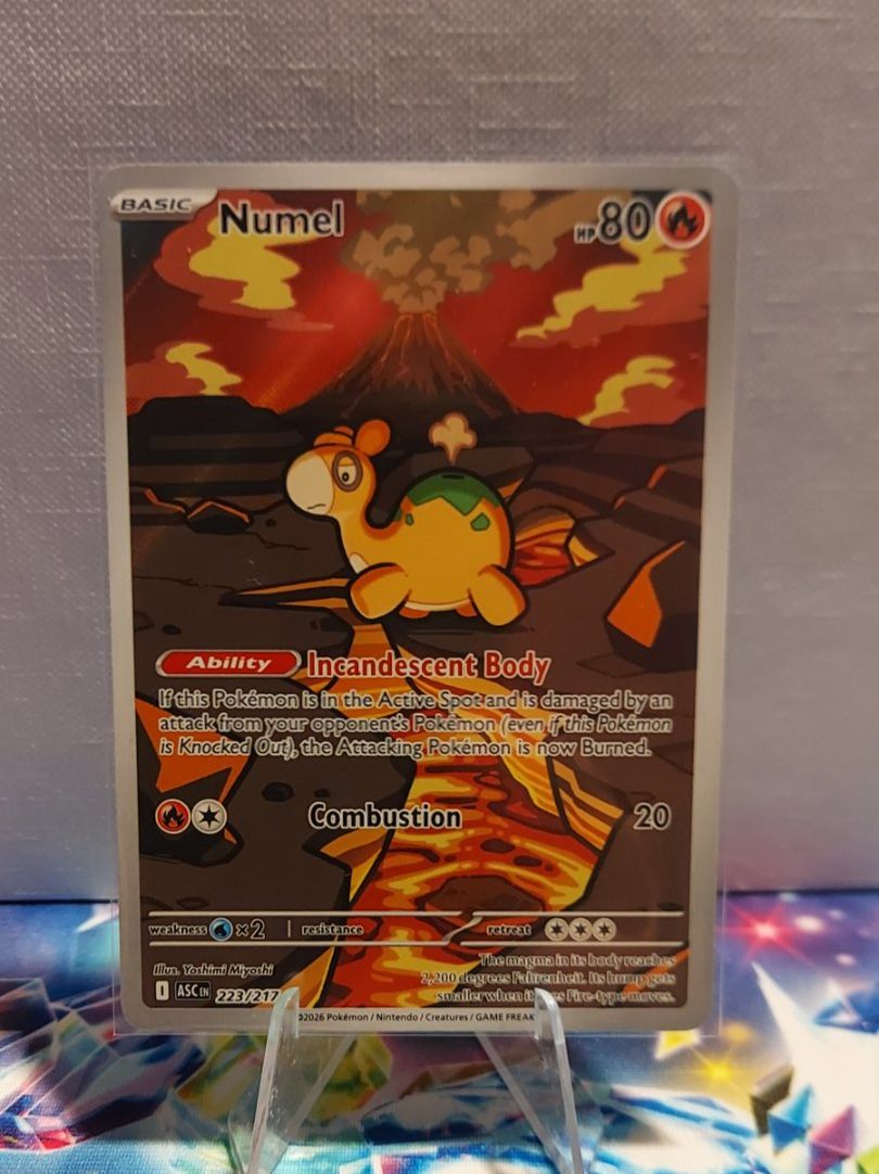 Pokémon Carte collezionabili: Carte Pokémon Numel 223/217 – Nuovo (secondo la descrizione) da Val-d'Illiez venduto da GGF2385