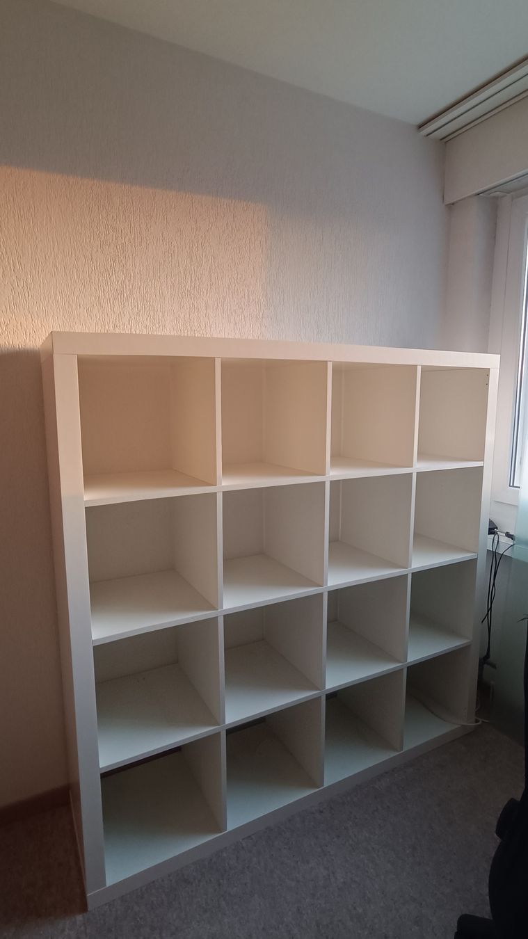 Scaffali: LETZTANGEBOT: 4x4 Kallax/ Expedit Regal IKEA – Usato da Baden venduto da zuppel