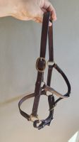 Halfter Jungpferd/Pony, Leder