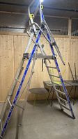 Escabeau professionnel Tubesca sécurisé  Vendu en létat