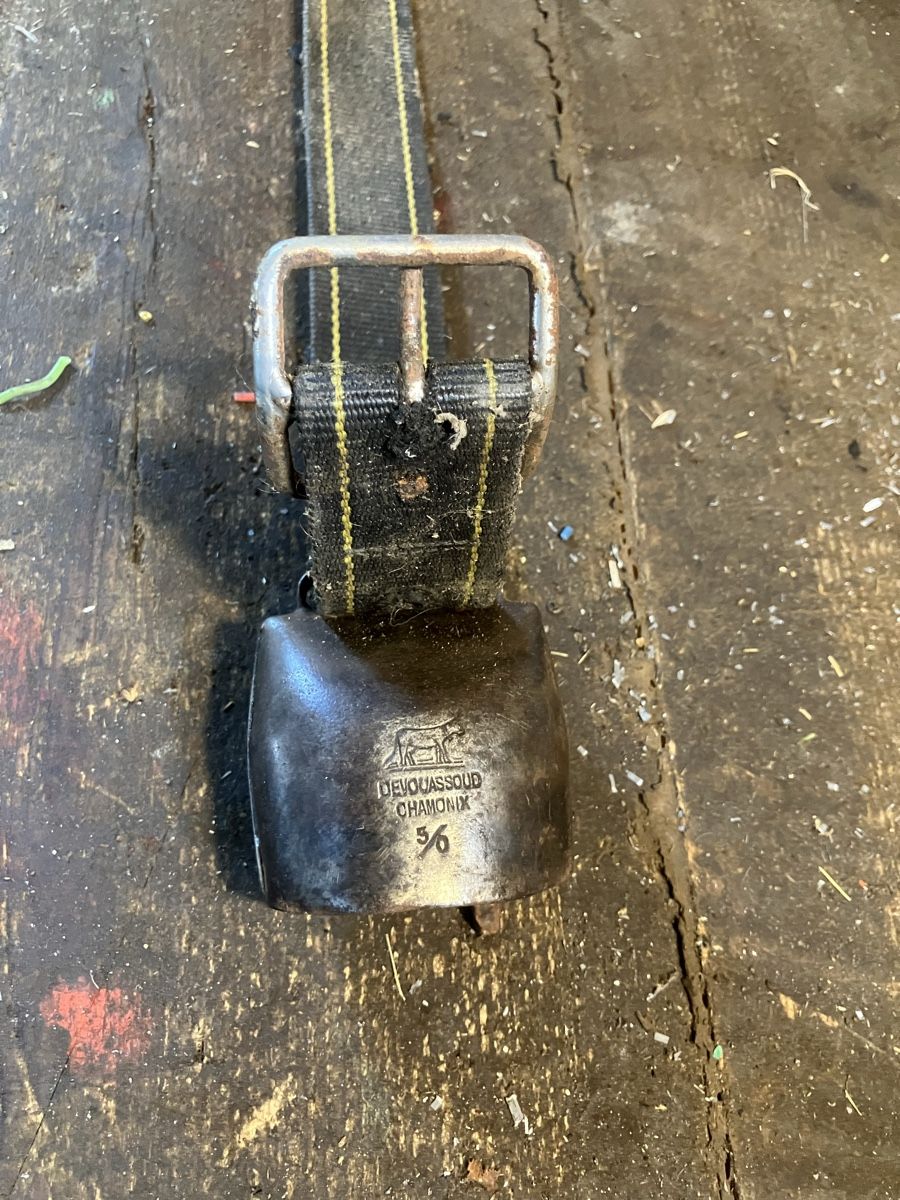 Chamonix Cloches & sonnailles: Treichel Glocke schelle  – D'occasion à Neudorf par Zlateh