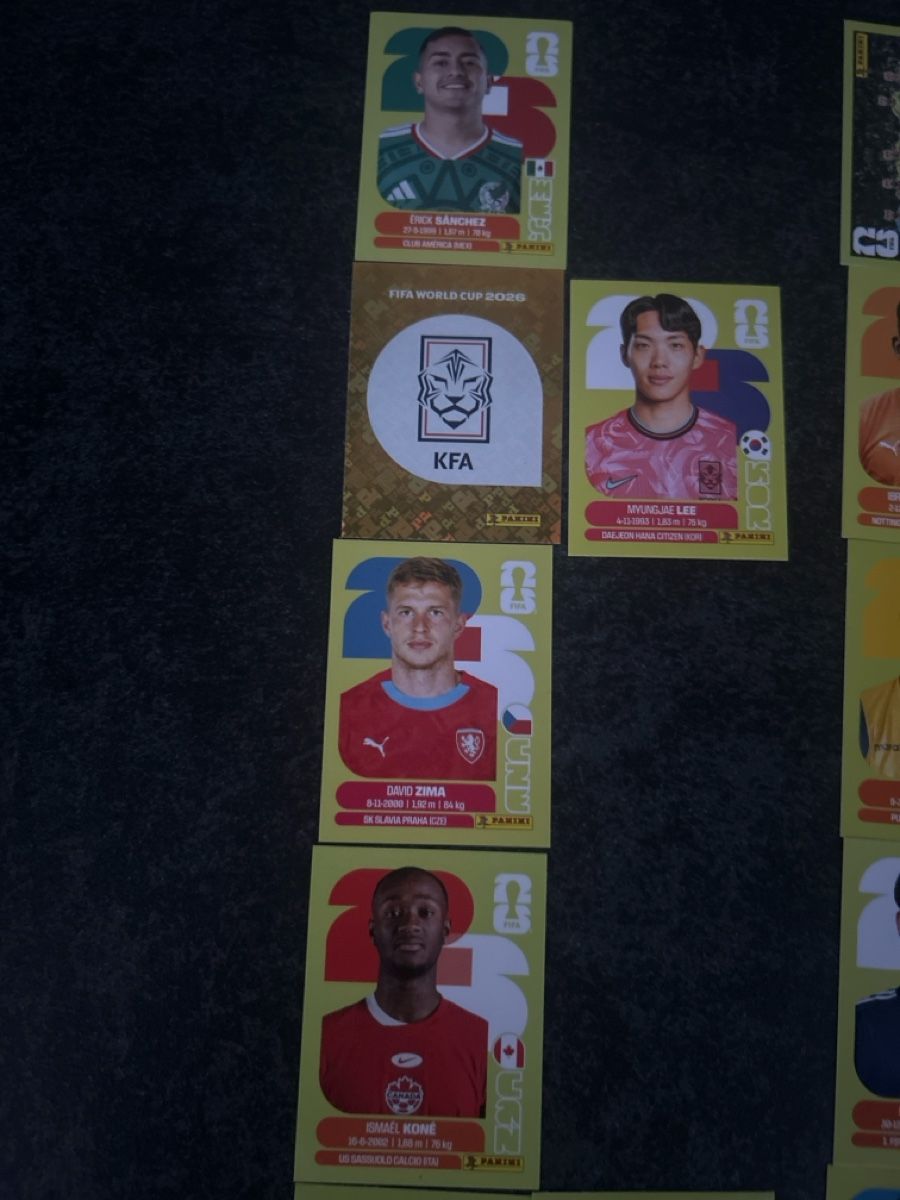 Panini Carte collezionabili: Einige Panini Bilder  – Nuovo (secondo la descrizione) da Wangen SZ venduto da Mauzdibauz 1