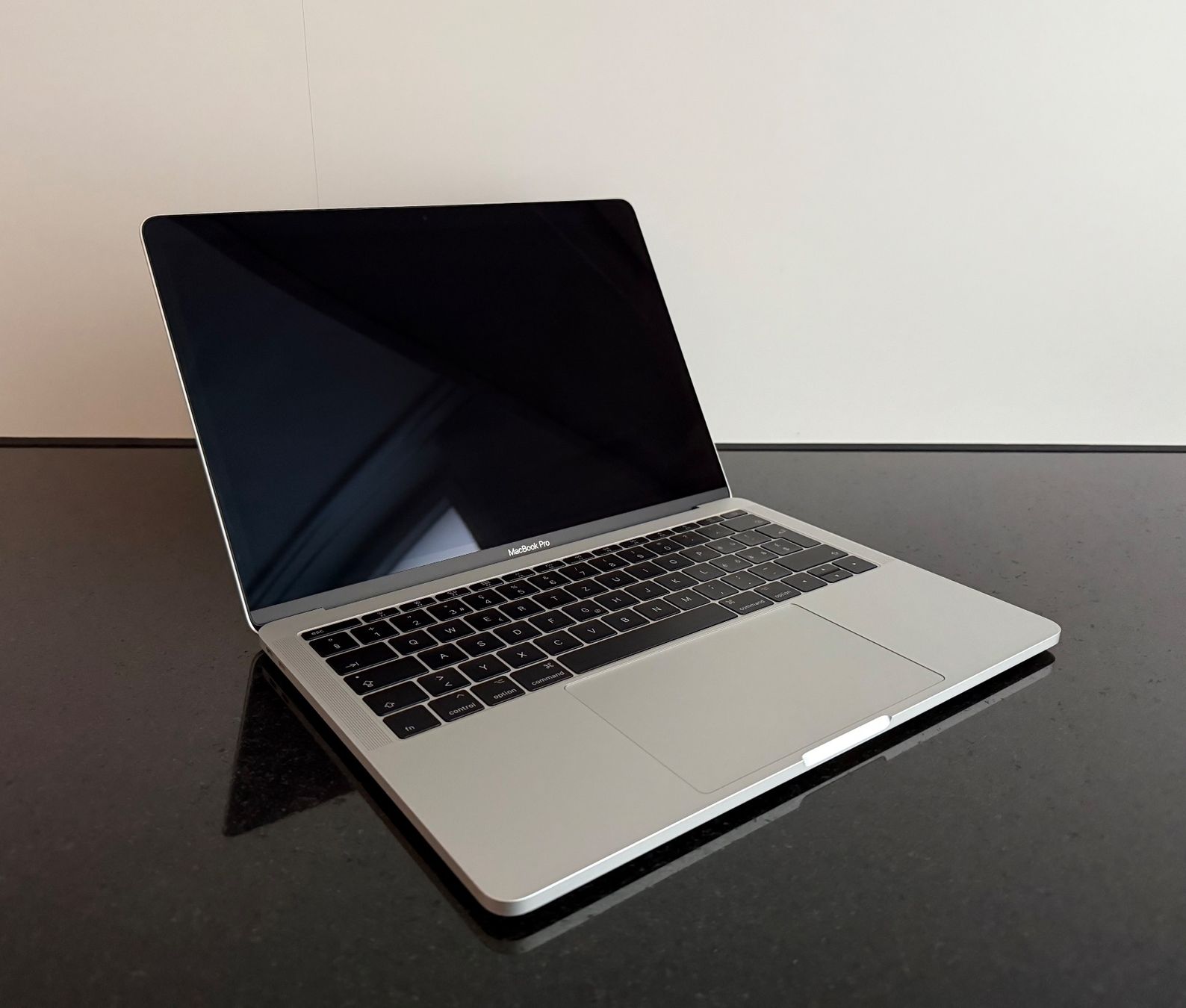 Apple Notebook: Apple MacBook Pro 13" 2017 128GB – Usato da Bern venduto da LM08