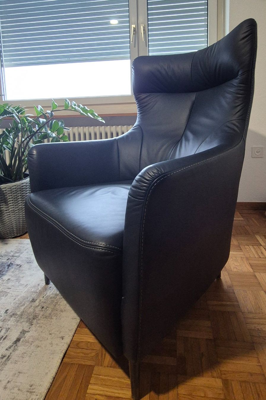 Pfister Poltrone: Ohrensessel – Usato da Mellingen venduto da Loewe2006