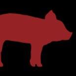 Profile image of TheKas