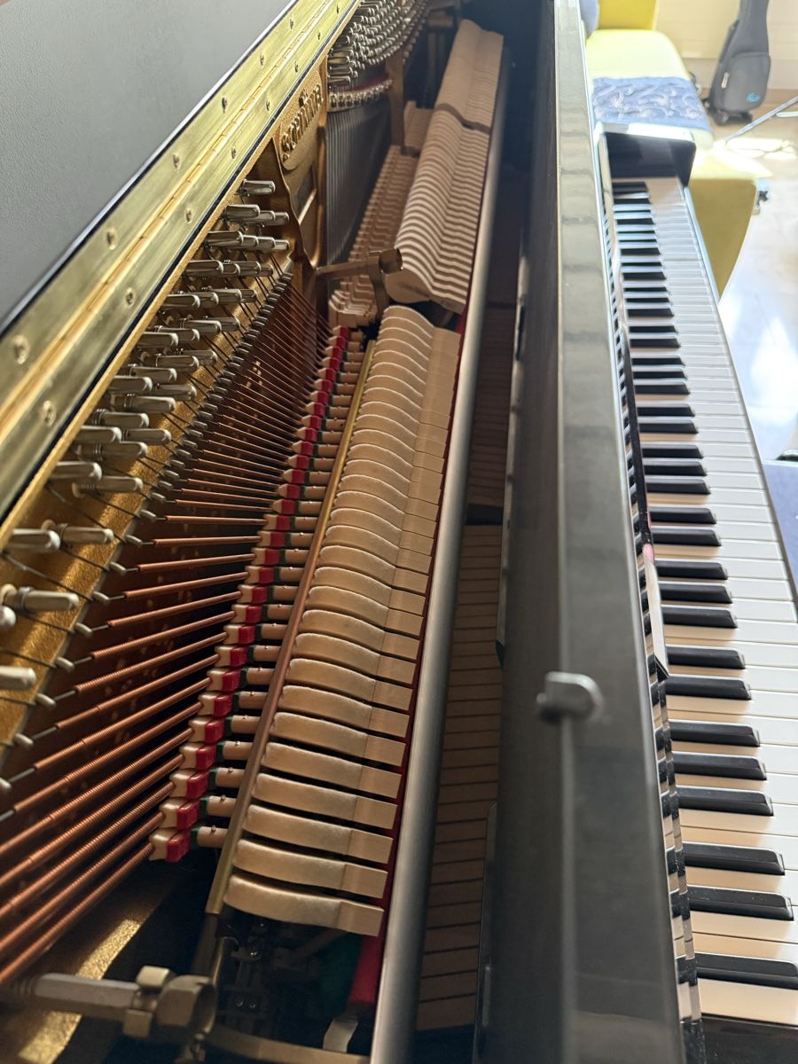 Musikinstrumente: Schimmel Silent Klavier schwarz – Gebraucht aus Ebmatingen von Banganca 4
