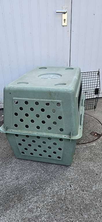 Gabbie, trasporto & Sicurezza: Hundebox platzsparend verstaubar – Usato da Liestal venduto da mat_vkf5 1
