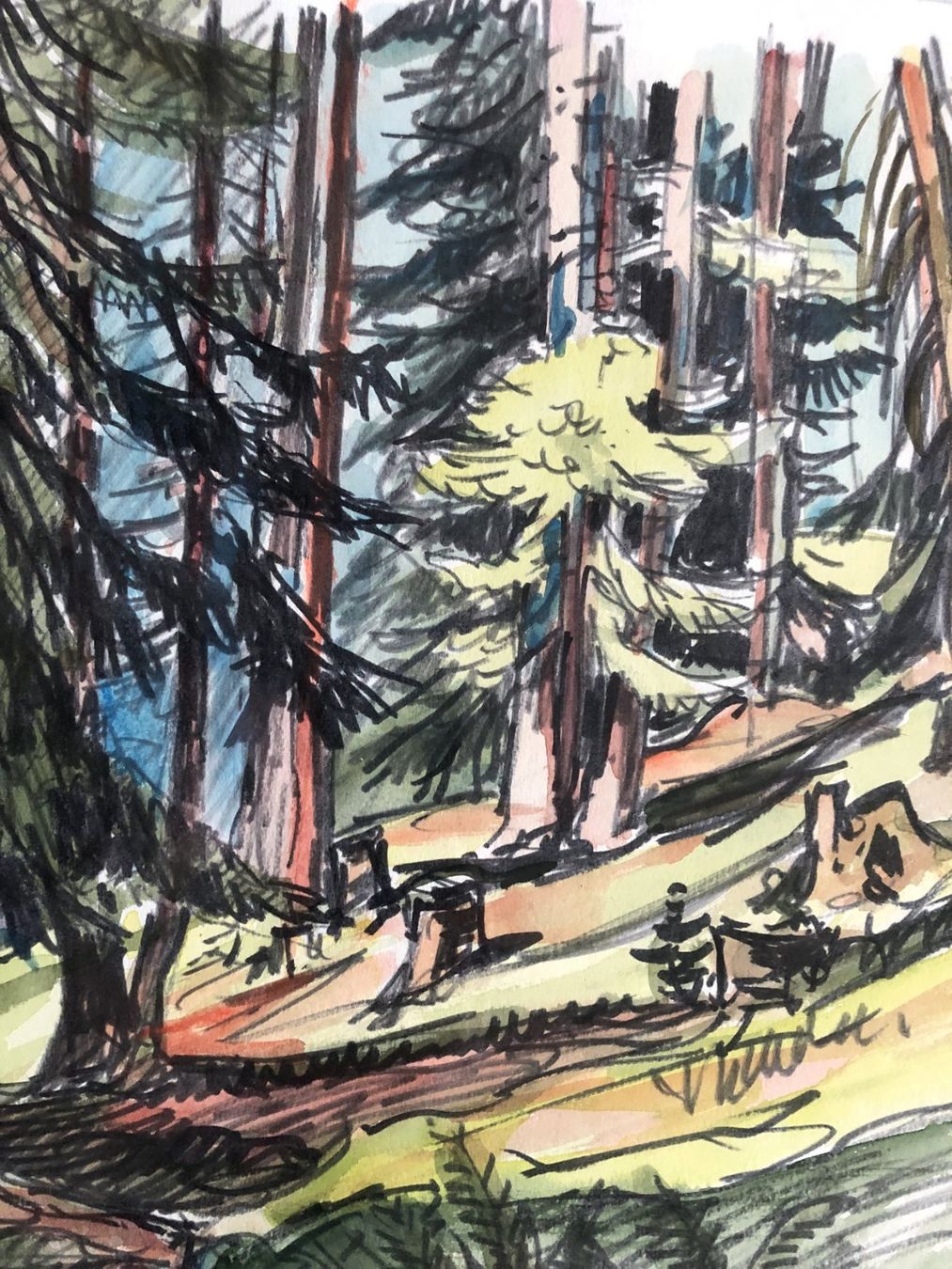 Dipinti: Gemälde - Aquarell + Filzstift - "Bündnerwald" – Usato da Schaffhausen venduto da durruti 2